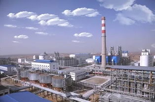 高鋁粉煤灰提取氧化鋁多聯(lián)產(chǎn)技術(shù)開發(fā)與產(chǎn)業(yè)示范項目榮獲國家科技進步二等獎