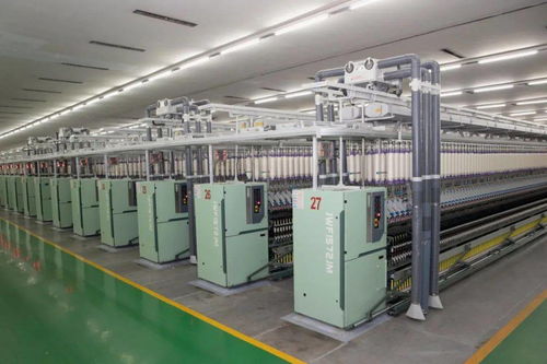 杜小剛調(diào)研企業(yè)運(yùn)行與新建高校發(fā)展，強(qiáng)調(diào)技術(shù)開發(fā)與人才培養(yǎng)雙輪驅(qū)動(dòng)